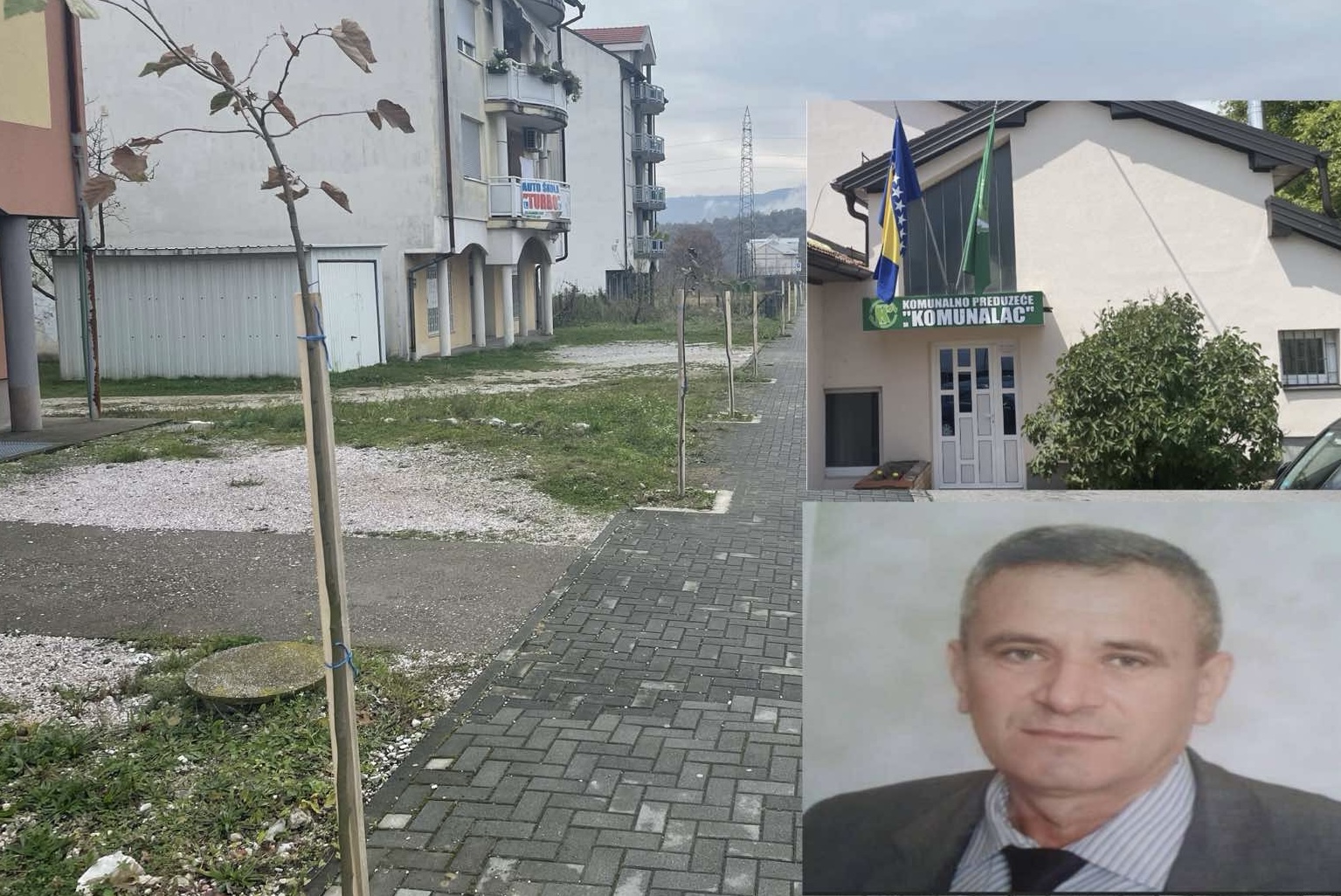 APEL I OBAVJEST: Ponovo zasađen drvored u Kalesiji